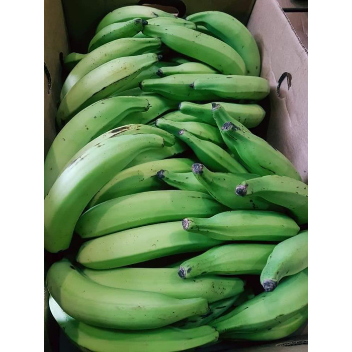 Fresh plantain-8pcs
