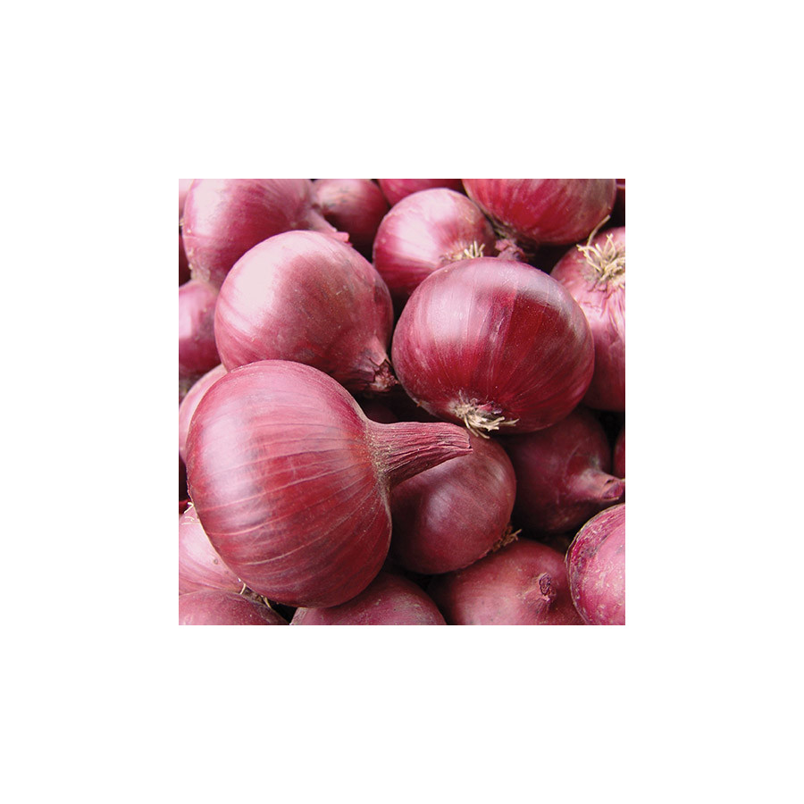 Onions-10g