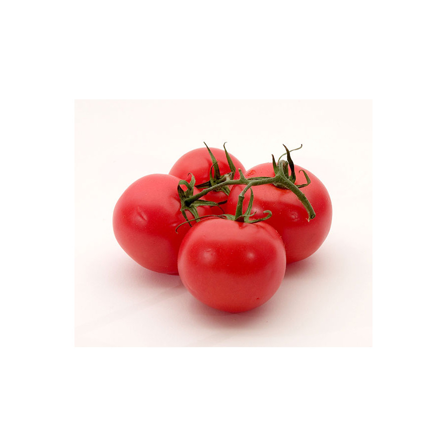 Fresh Tomato-10lb